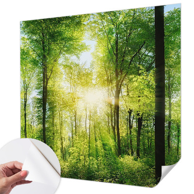 Samoljepljiva fototapeta Šumska harmonija