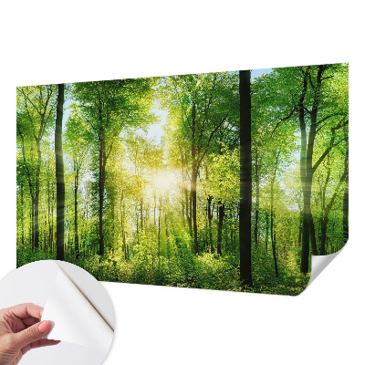 Samoljepljiva fototapeta Šumska harmonija