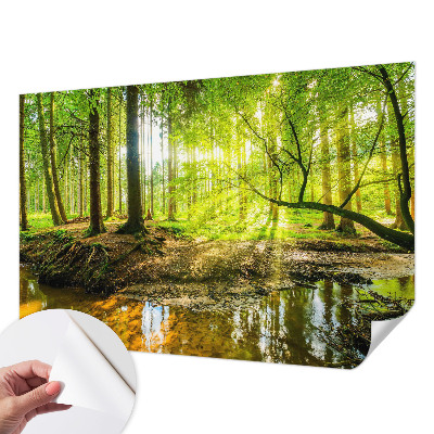 Dječja foto tapeta Zeleni krajolik