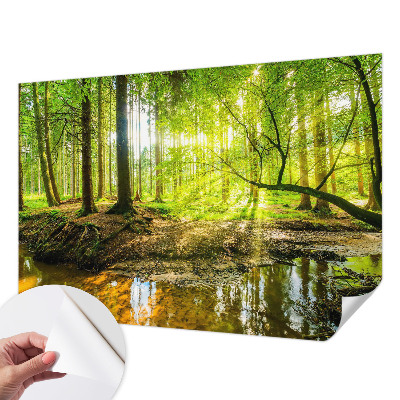 Dječja foto tapeta Zeleni krajolik
