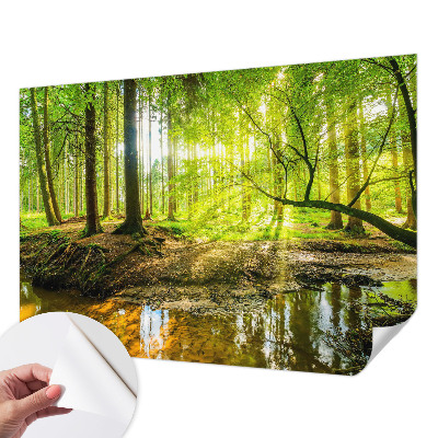 Dječja foto tapeta Zeleni krajolik