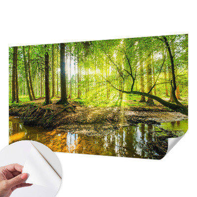 Dječja foto tapeta Zeleni krajolik