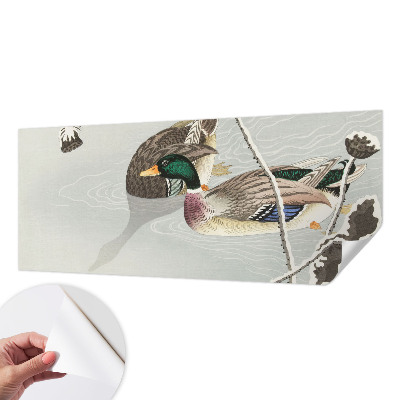 Foto tapeta Mirne patke