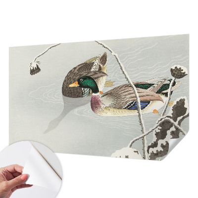 Foto tapeta Mirne patke