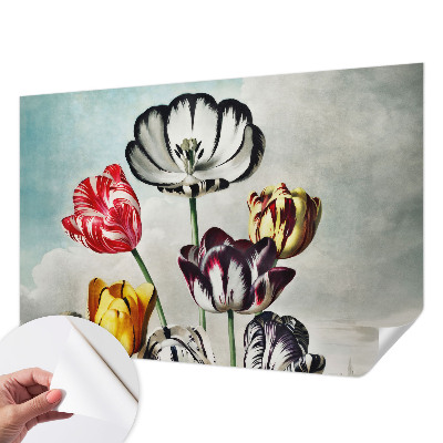 Fototapeta sa šarenim tulipanima