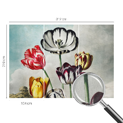 Fototapeta Šareni tulipani