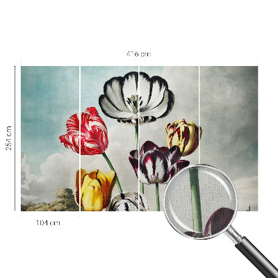 Fototapeta Šareni tulipani