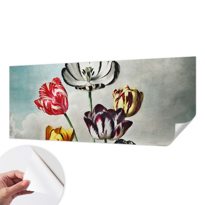 Fototapeta Šareni tulipani