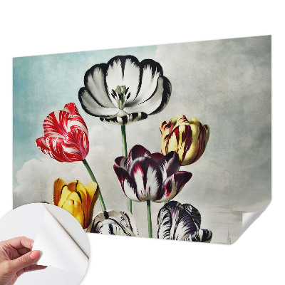 Fototapeta Šareni tulipani