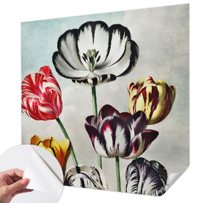 Fototapeta Šareni tulipani