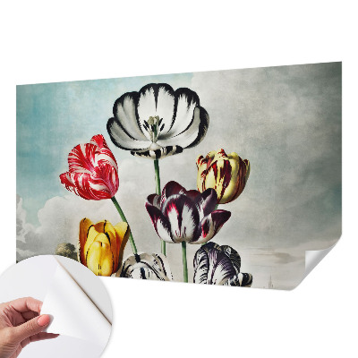 Fototapeta Šareni tulipani