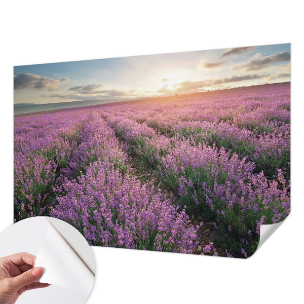 Samoljepljiva fototapeta za dnevni boravak Polja lavande