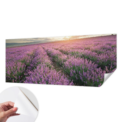 Samoljepljiva fototapeta za dnevni boravak Polja lavande