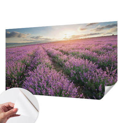 Samoljepljiva fototapeta za dnevni boravak Polja lavande