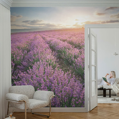 Samoljepljiva fototapeta za dnevni boravak Polja lavande