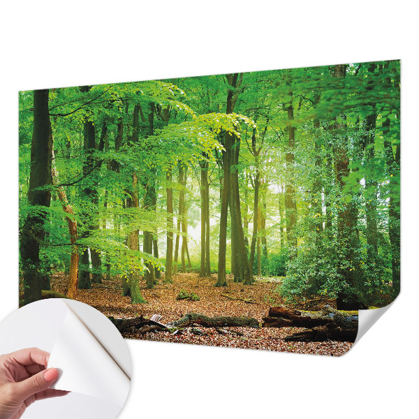 Dječja foto tapeta Zelena šuma