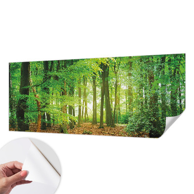 Dječja foto tapeta Zelena šuma