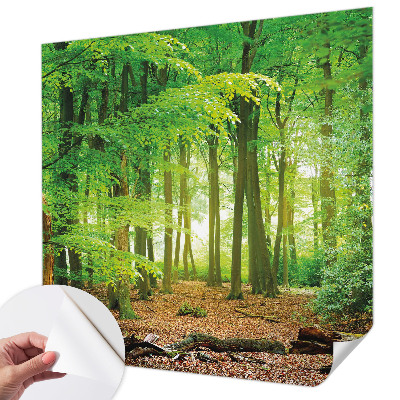 Dječja foto tapeta Zelena šuma