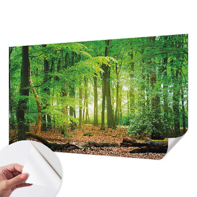 Dječja foto tapeta Zelena šuma