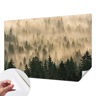 Fototapeta s motivom šumske magle