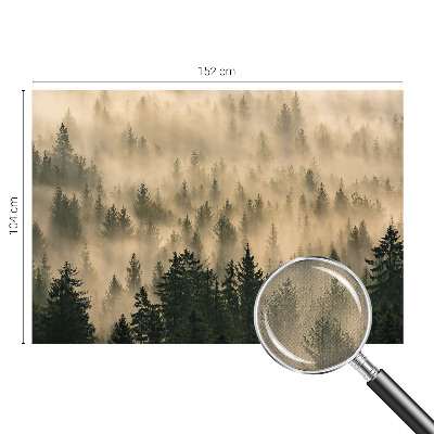 Fototapeta Šumska magla