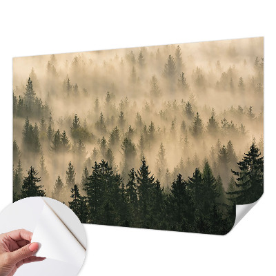 Fototapeta Šumska magla