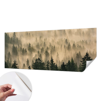 Fototapeta Šumska magla
