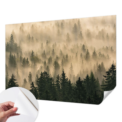 Fototapeta Šumska magla