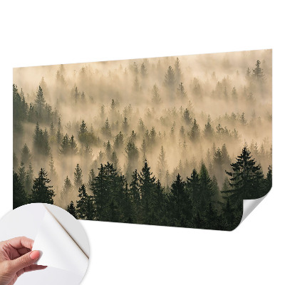 Fototapeta Šumska magla