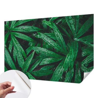Foto tapeta za dječju sobu s motivom prirodnog zelenila