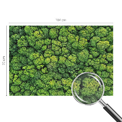 Foto tapeta Šumska panorama