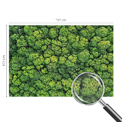 Foto tapeta Šumska panorama