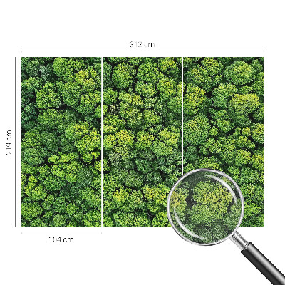Foto tapeta Šumska panorama