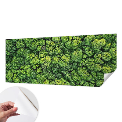 Foto tapeta Šumska panorama