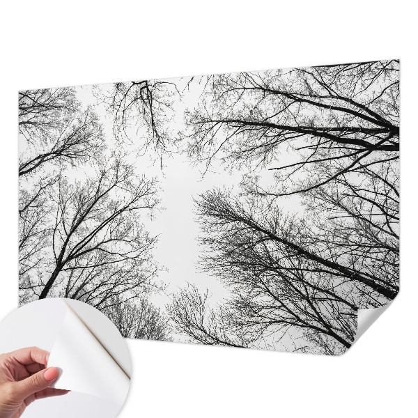 Samoljepljiva foto tapeta Gole grane