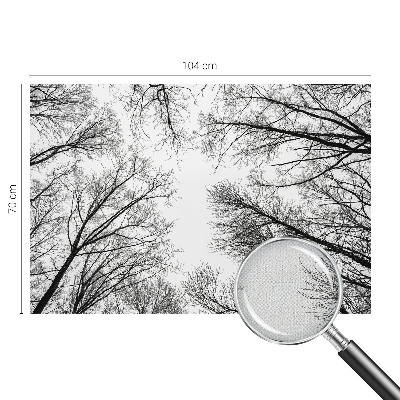 Samoljepljiva foto tapeta Gole grane