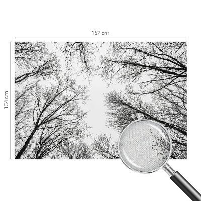 Samoljepljiva foto tapeta Gole grane