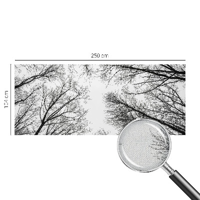 Samoljepljiva foto tapeta Gole grane