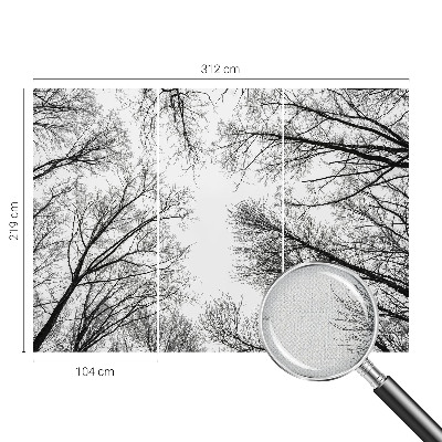 Samoljepljiva foto tapeta Gole grane