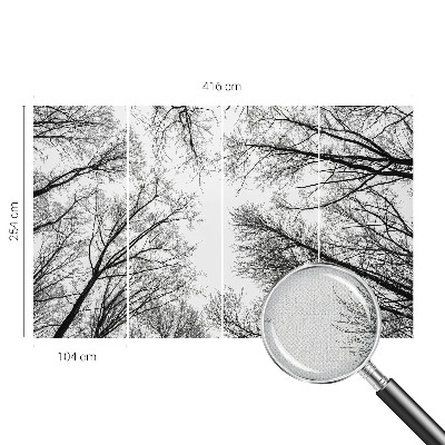 Samoljepljiva foto tapeta Gole grane