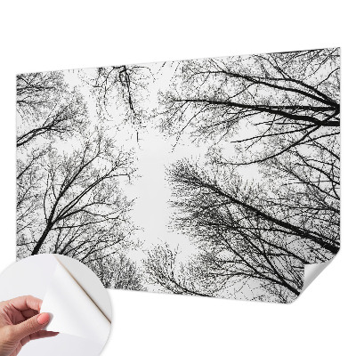 Samoljepljiva foto tapeta Gole grane