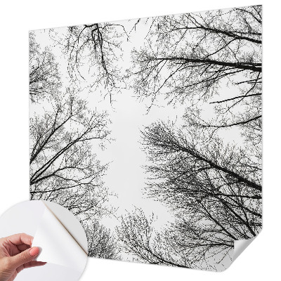 Samoljepljiva foto tapeta Gole grane