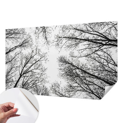 Samoljepljiva foto tapeta Gole grane