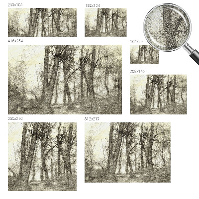 Dječja fototapeta Šumska melankolija