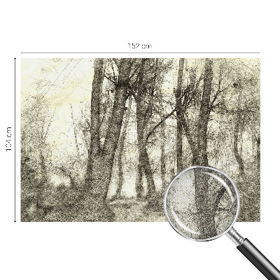 Dječja fototapeta Šumska melankolija