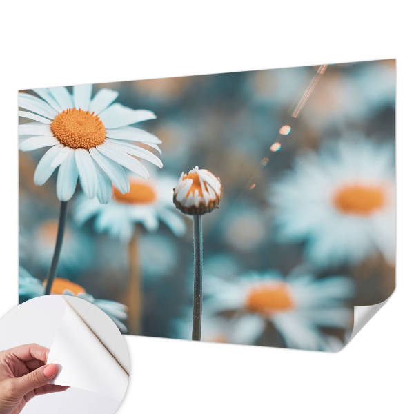 Fototapeta Delikatesa od kamilice