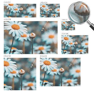 Fototapeta Delikatesa od kamilice