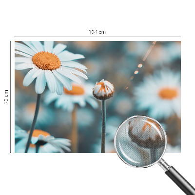 Fototapeta Delikatesa od kamilice