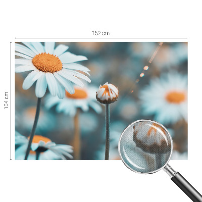 Fototapeta Delikatesa od kamilice