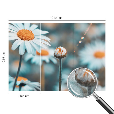 Fototapeta Delikatesa od kamilice